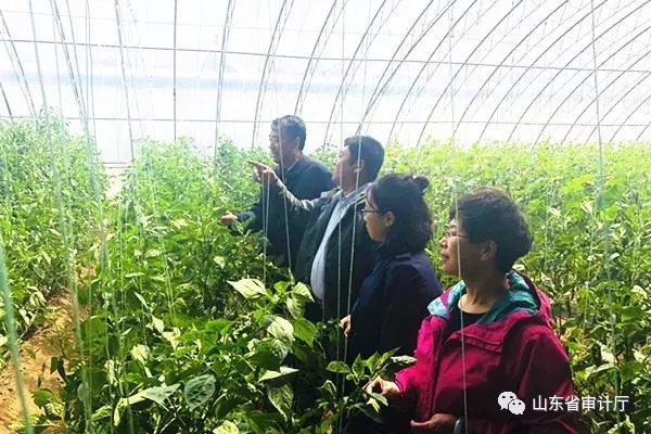 这一年收获颇丰,这一年收获了太多的温暖与感动