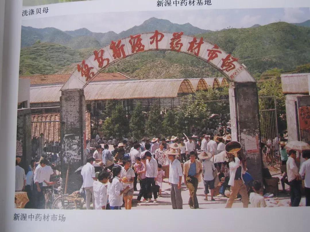 娴欐睙涔嬪績鏃呮父鏅偣,閫傚悎鍐ぉ鍘荤殑姹熷崡娓╂硥灏忛晣