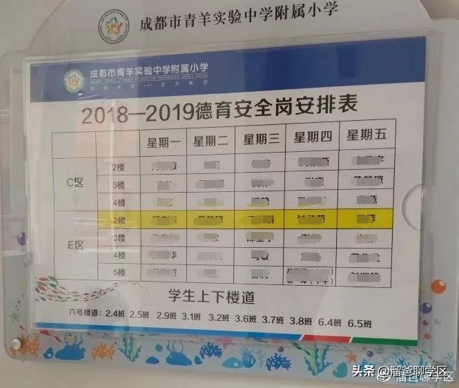 成都青羊区小学报名,成都读青羊区小学需要什么条件