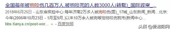 十大禁养猛犬名单,这8种猛犬必须要禁养