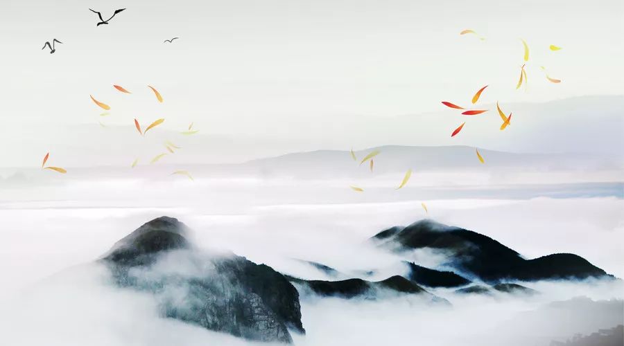 高中成语积累及解释大全800个,高中常用成语积累800个通用