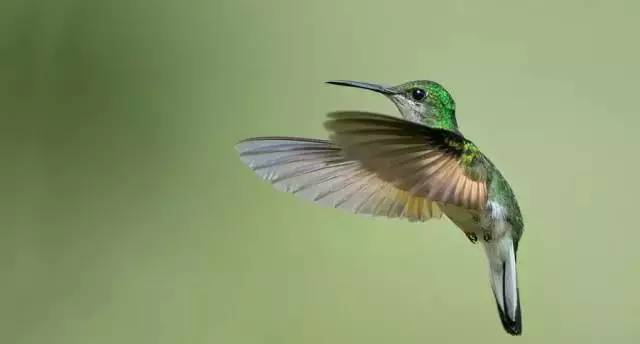 解密华夏奇书山海经,古今奇书山海经带你领略神奇世界