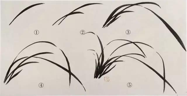 国画兰花绘画图,简单国画兰花画法教程