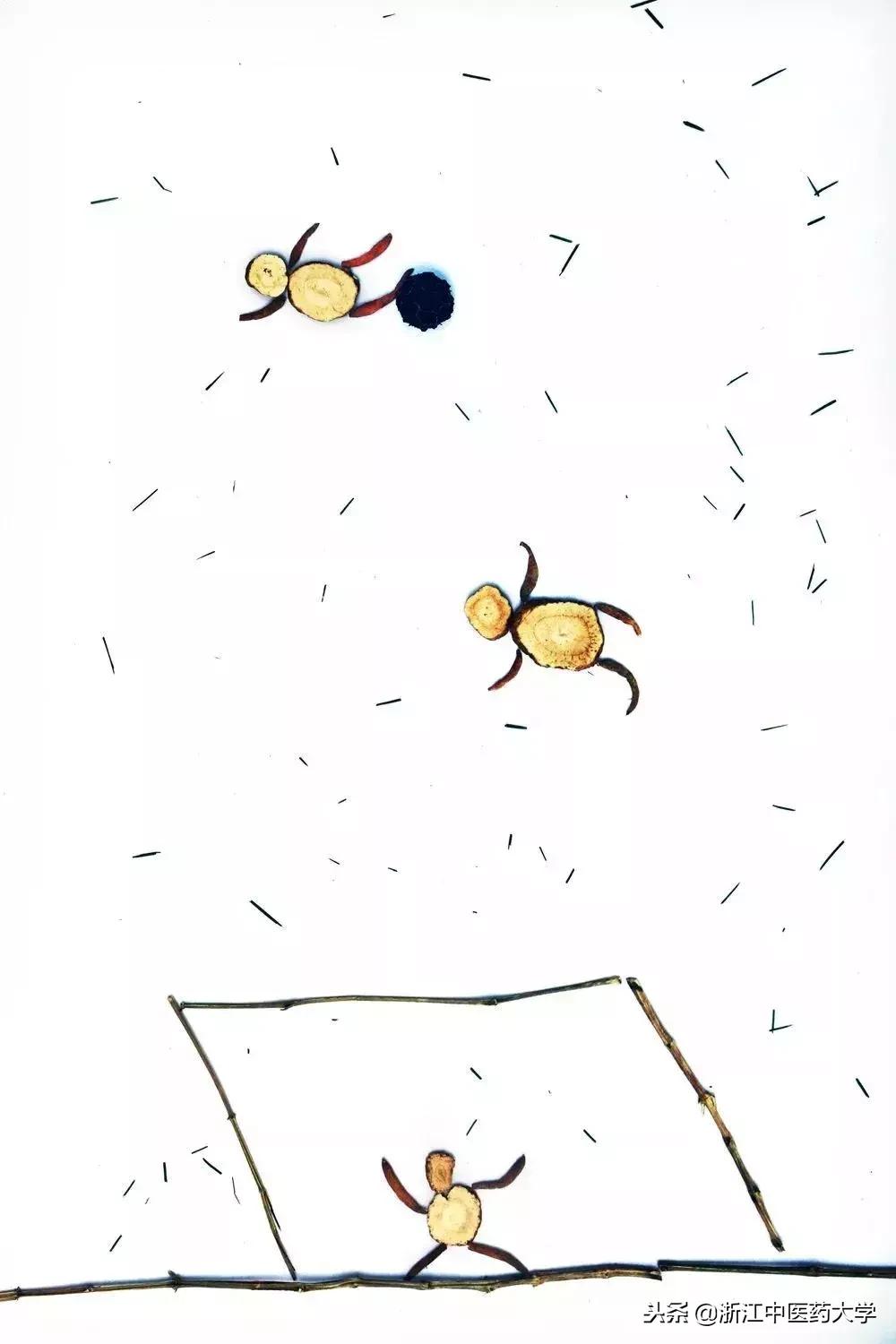 用镜头诉说中医药之美