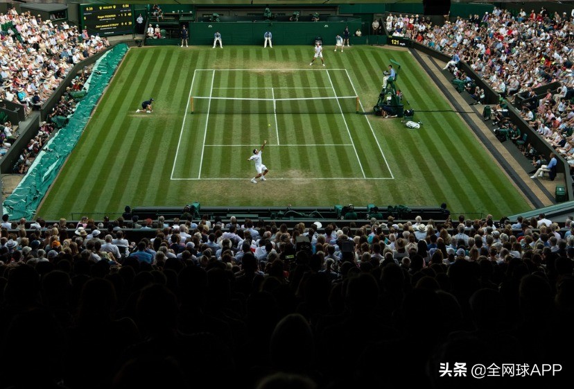 温布尔登赛后,温布尔登