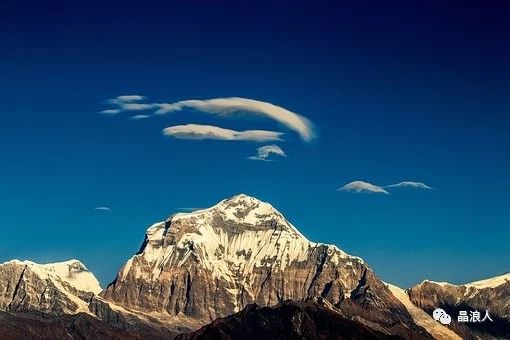 一个人的路今后怎么走,一个人的路原唱歌词