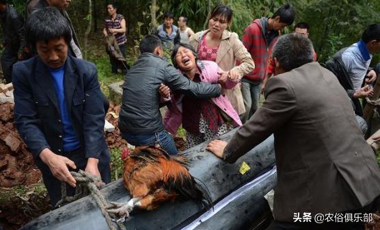 农村出殡有什么讲究和习俗,农村出殡规矩很多