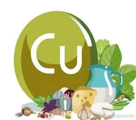 白癜风患者缺少铜元素，生活中我们要如何补充才健康呢？