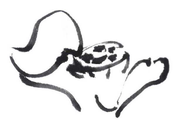 国画刘存惠荷花画法全视频,国画山水画教学视频荷花画法