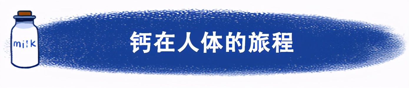 牛奶和钙片可以一起吃吗,钙片可以跟牛奶一起喝吗