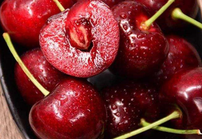 谨记狗狗绝不能吃的6种水果,狗狗一般能吃哪几种水果