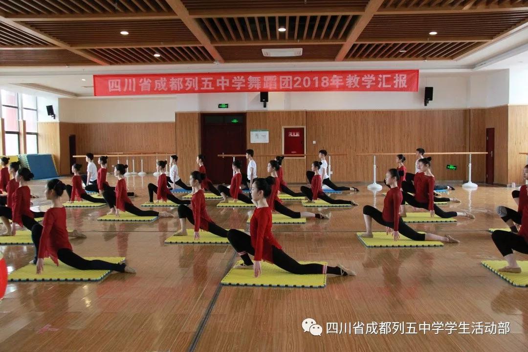 2019年高中体育特长生招生条件,2023五中特长生录取名单美术