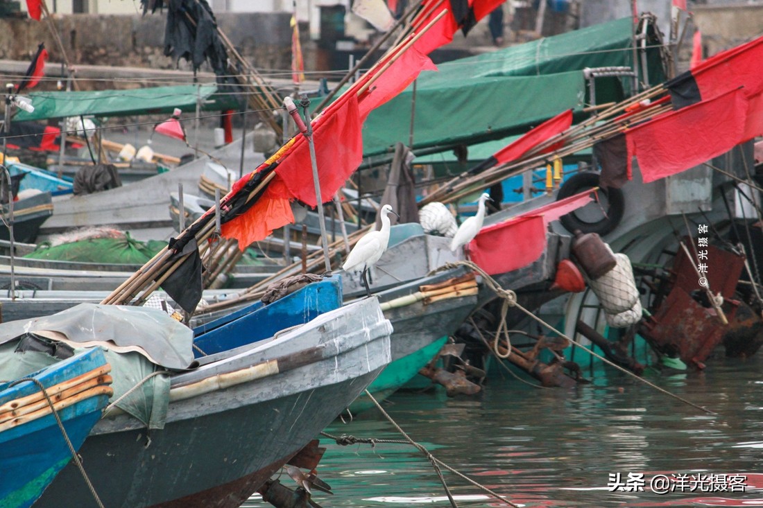 汕尾宜居宜业,汕尾宜居