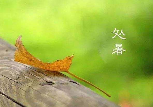 「处暑」向长夏言别，与浅秋相拥