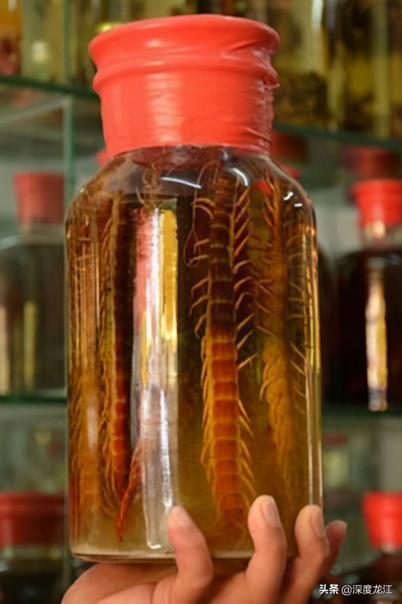 广西104岁老人自制药酒,爷爷泡的10年药酒