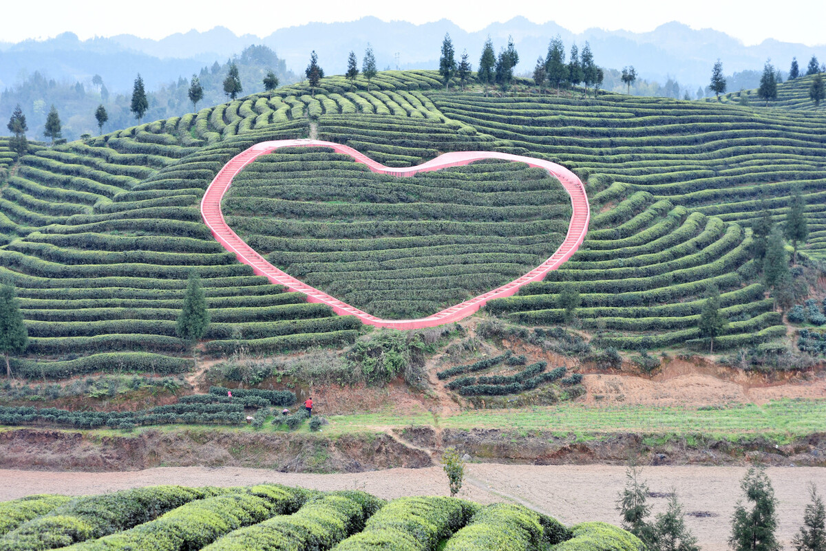 为什么城市人怕过农村人,为什么有人要去农村投资