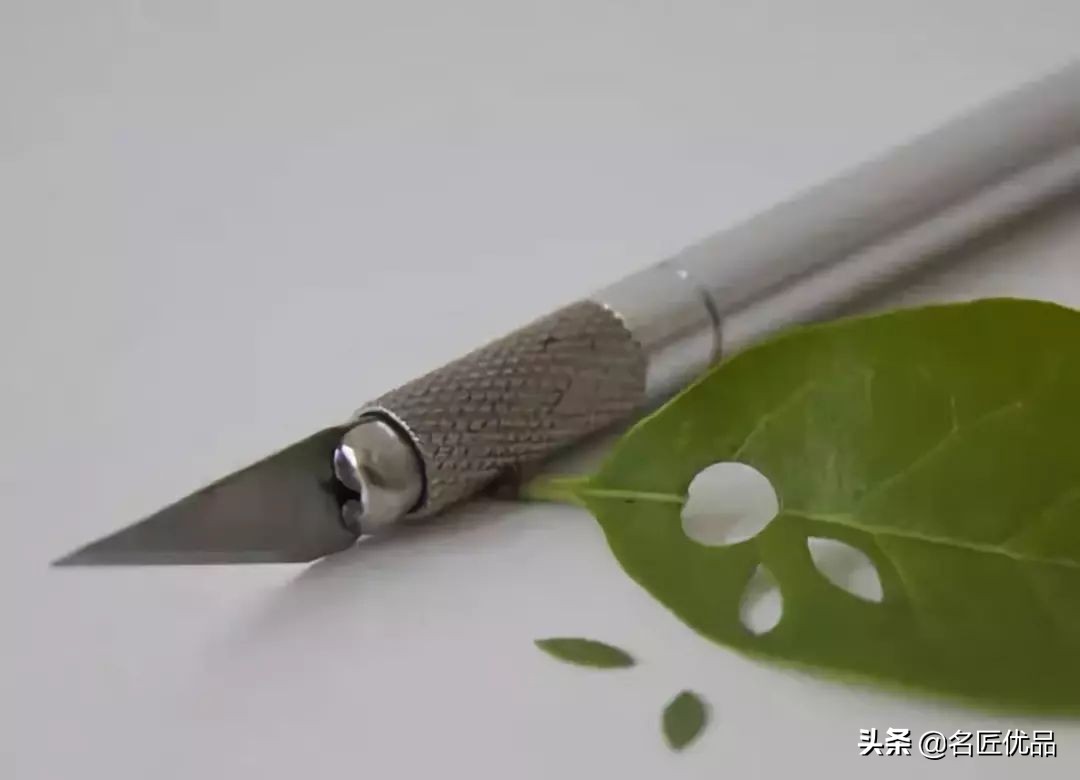 可爱又简单帅气的树叶手工,树叶创意手工高难度