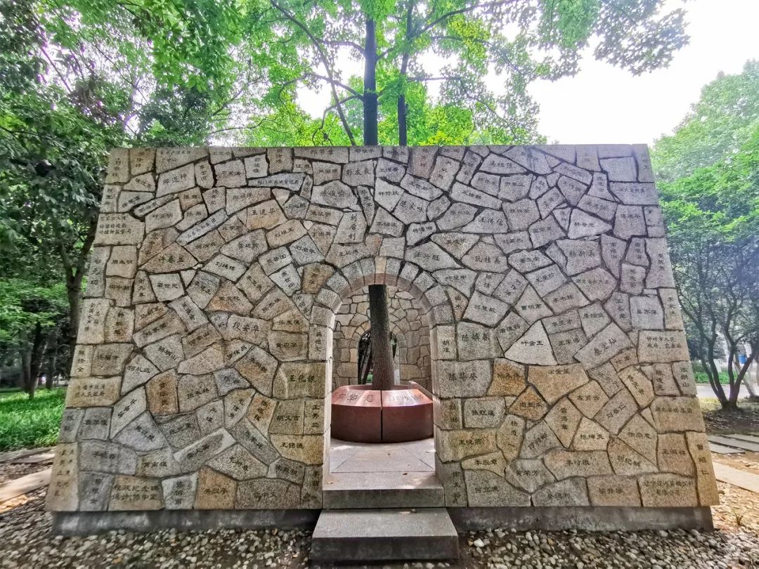 全国第一！华中农业大学真是太太太牛了