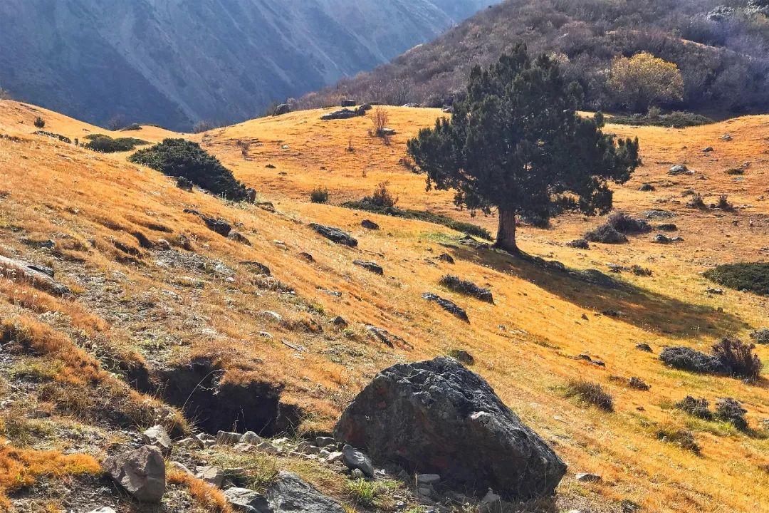 徒步新藏线什么时候开始,川藏线十大徒步路线