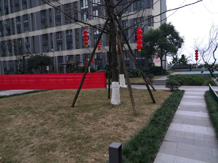 不知不觉中从夏天跑到了冬天,不知不觉跑到了冬天