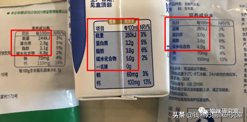 刚生的小猫母猫不在如何照顾,早产没长毛的小猫怎么救活