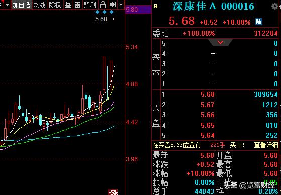 深康佳a存储芯片项目,深康佳a生产什么芯片
