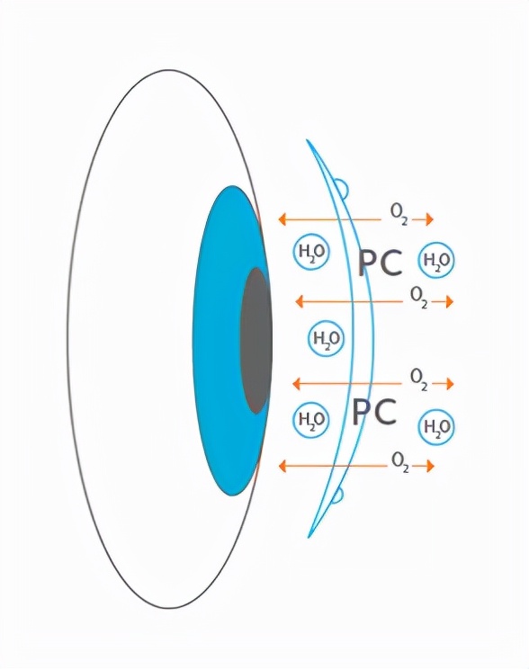 视力保健公司产品,视力保健项目的产品研发