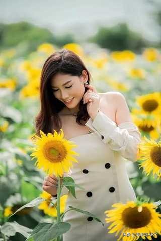 柬埔寨波贝不止有“菠菜”，还有美女和花海