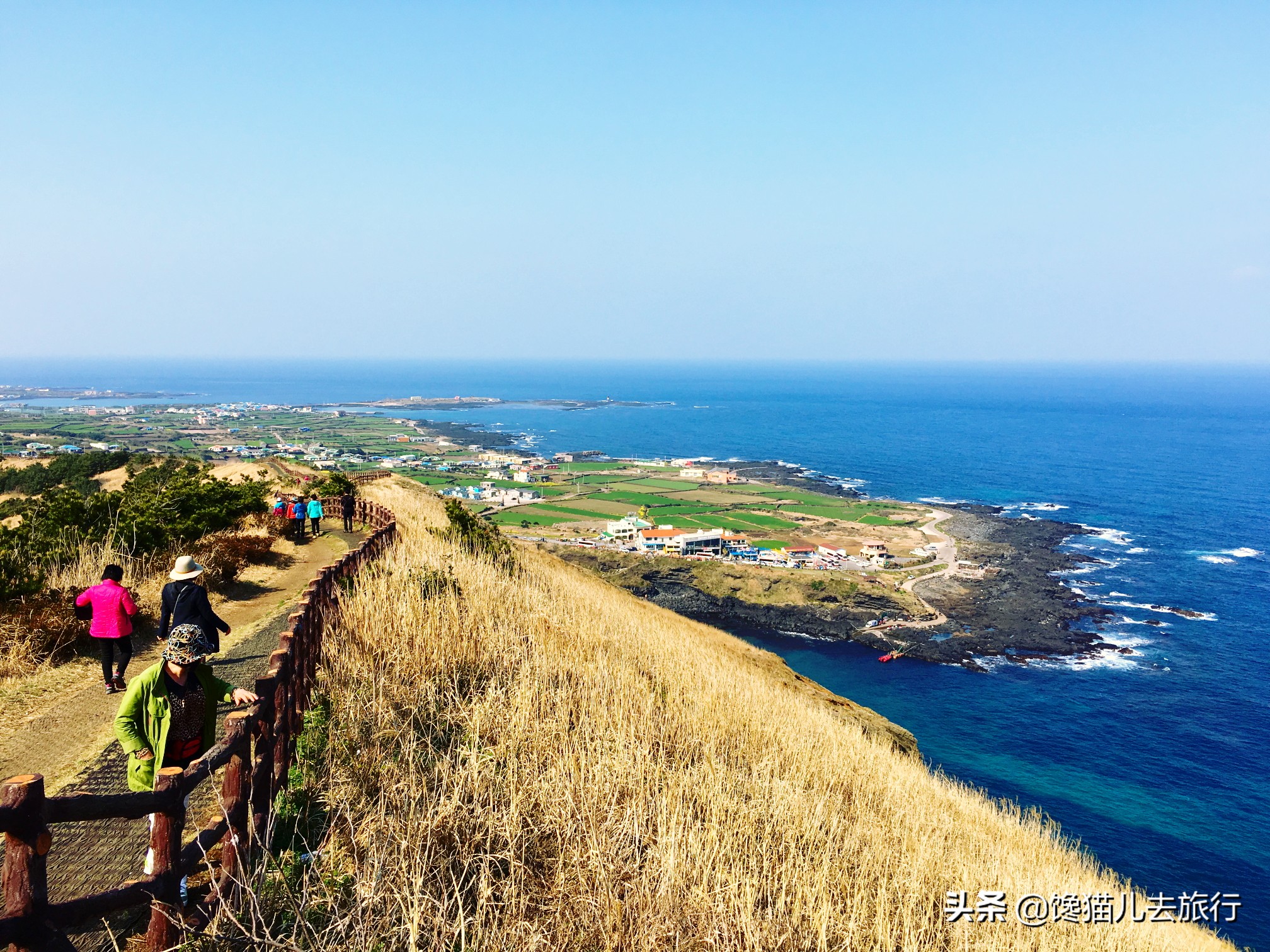 韩国人有多喜欢青岛,韩国人在韩国看对面的青岛