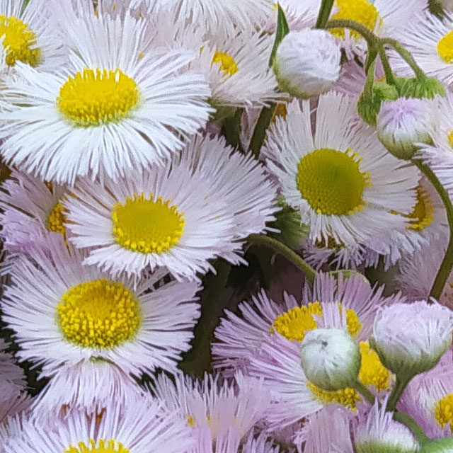 红米手机redmi8,redminote8红米手机