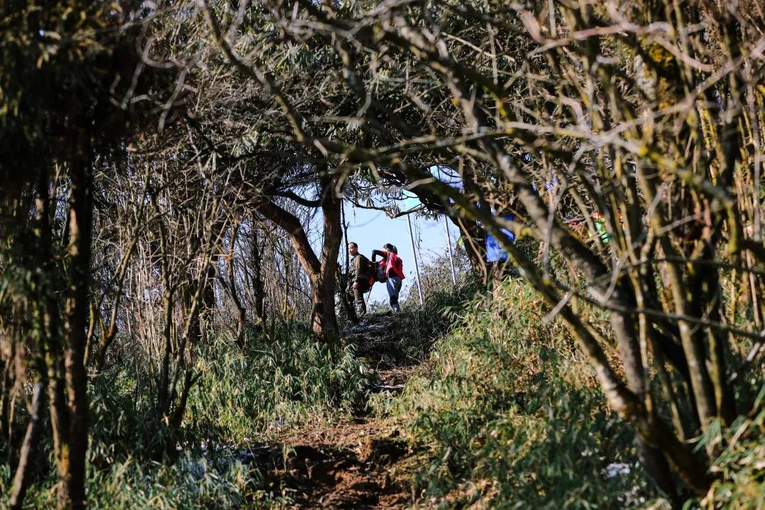 成都天台山景区自驾游攻略,成都天台山玩雪