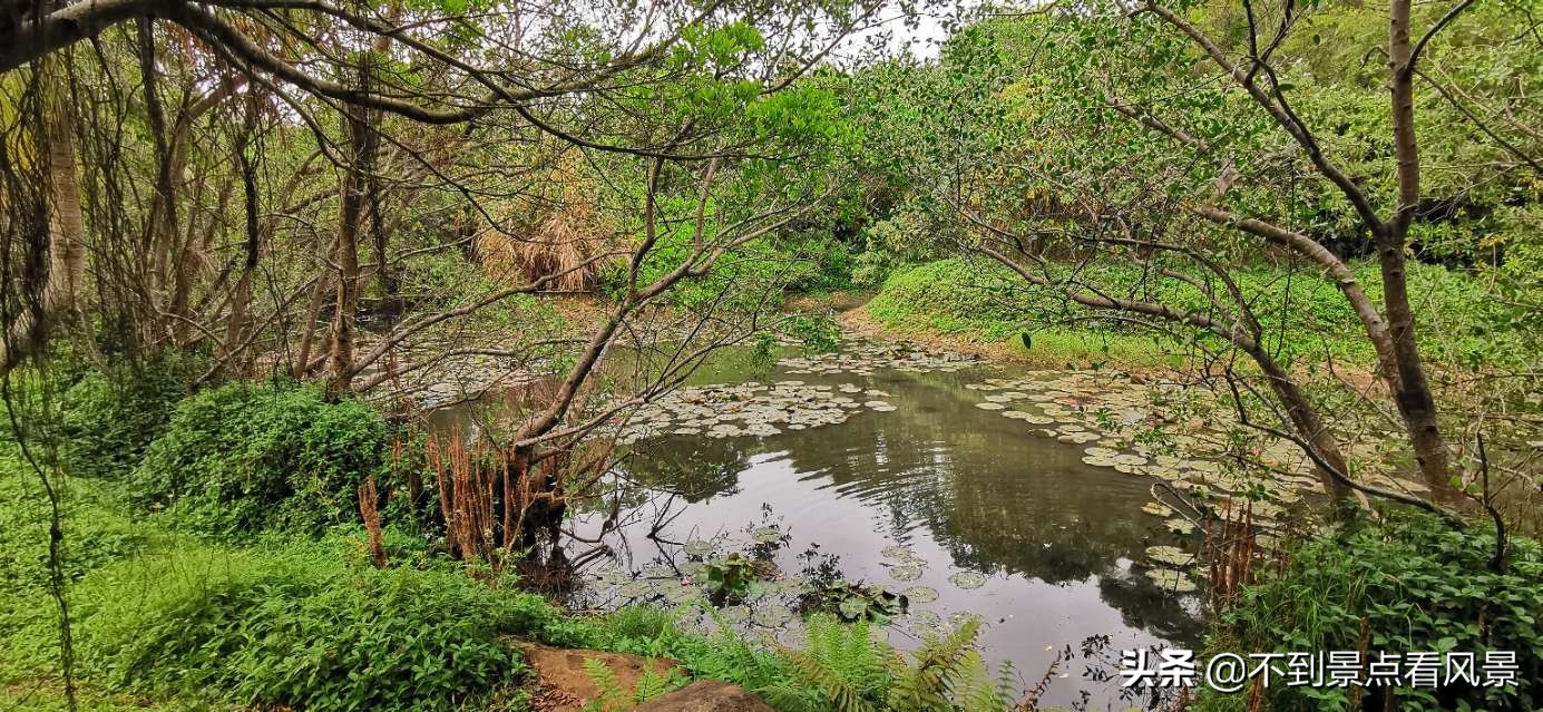 海口海甸岛白沙门公园夜景,海口旅游景点白沙门