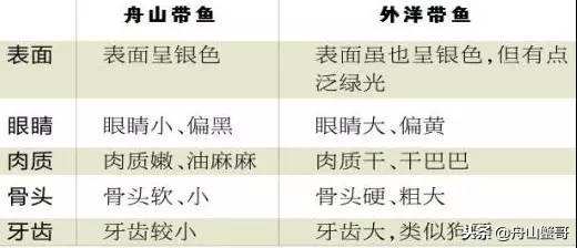 舟山雷达网带鱼250一斤,舟山雷达网带鱼捕捞