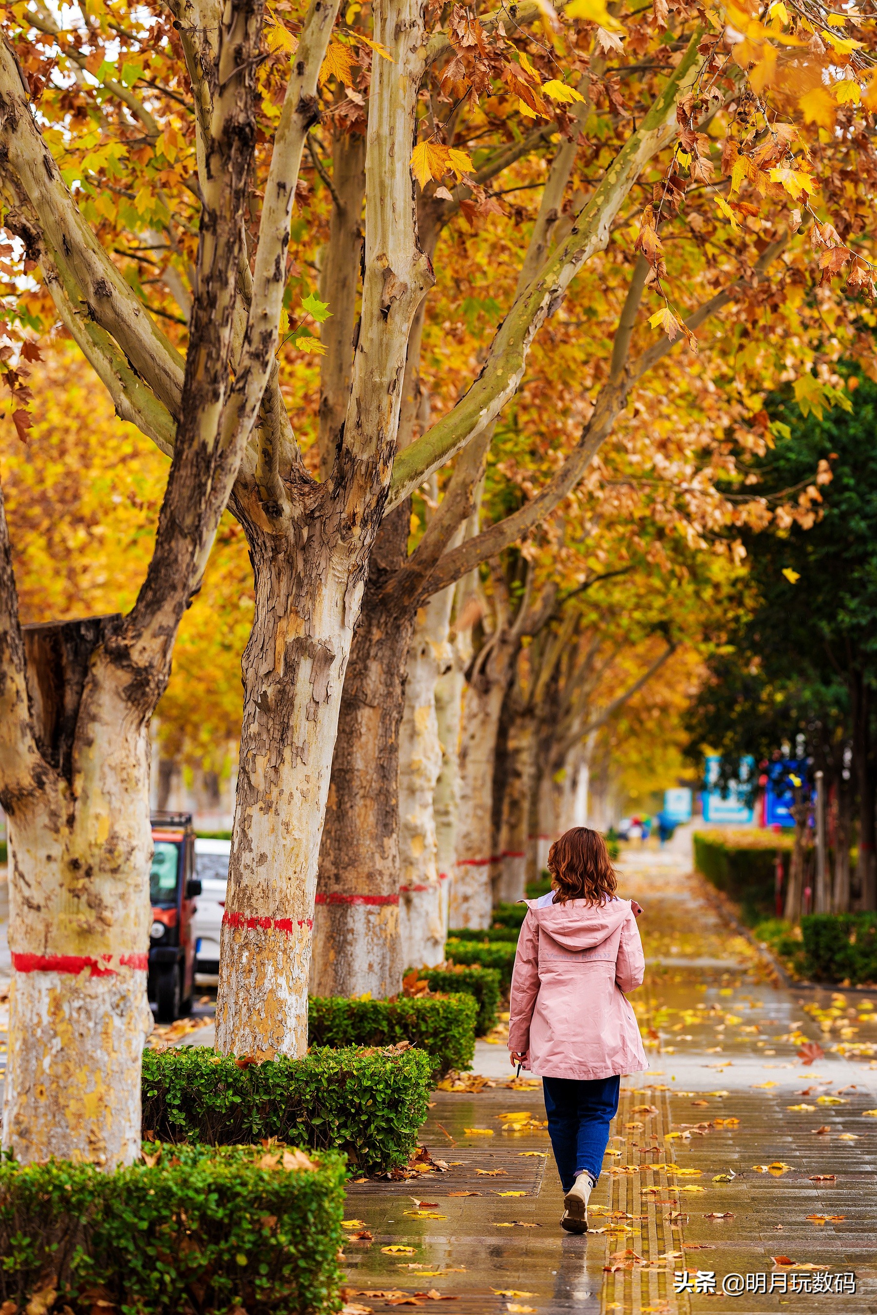 discoveryactive冲锋衣,什么牌子的冲锋衣时尚减龄好看