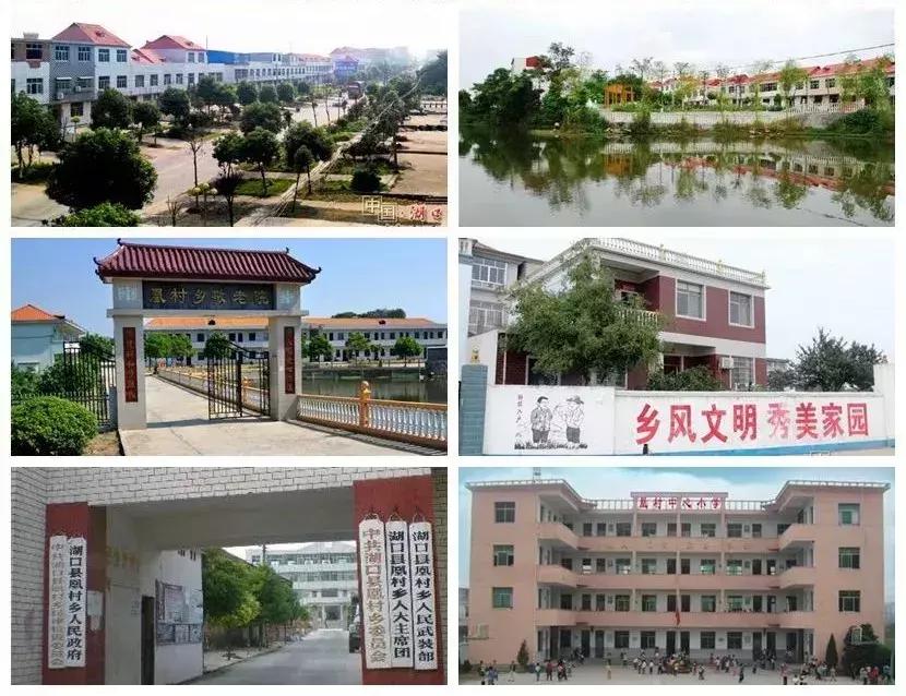 我叫湖口，这是我最新的简历