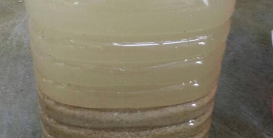 菜籽饼可以直接埋土里做花肥吗,菜籽饼发酵做肥料怎么做好吃