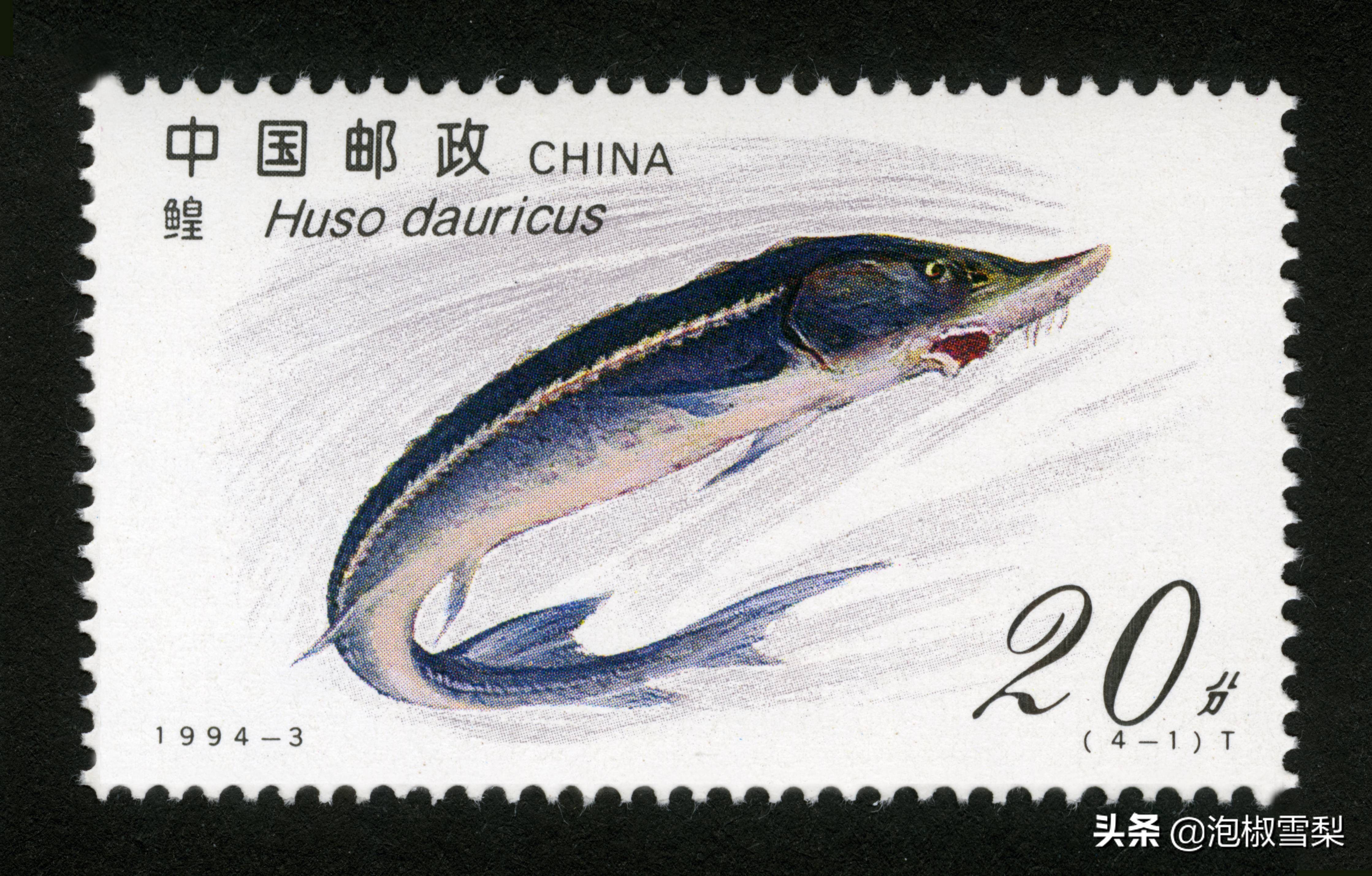 1994昭君出塞邮票,1994年黄埔军校邮票多少钱一张