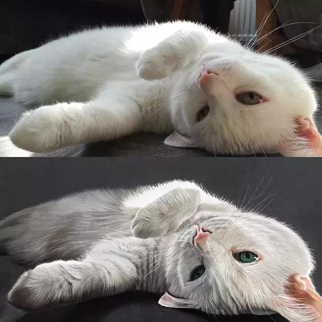 彩铅不会涂色怎么办,彩铅绘画干货