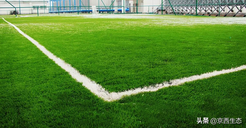 仿真人造草坪和天然草坪的优缺点,人造草坪的7大优势及特点