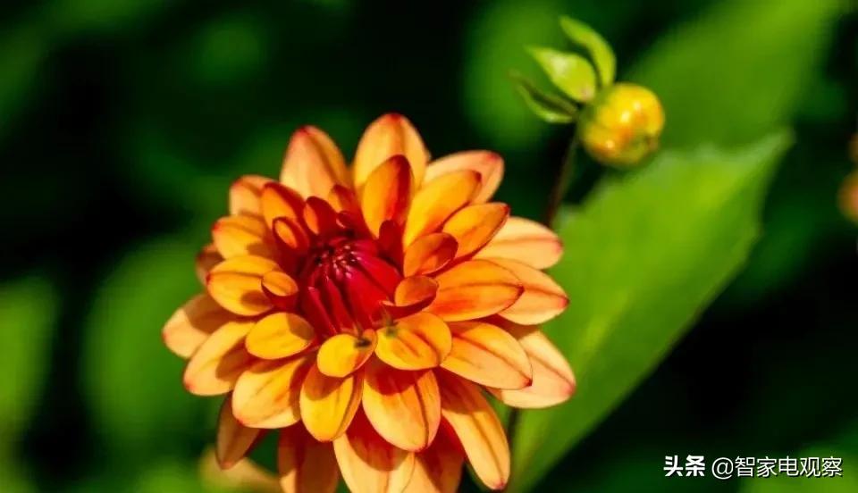 什么牌子油烟机抽查合格,油烟机质量检测报告