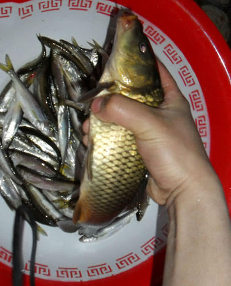 一对78岁的恩爱夫妻钓鱼,一对小夫妻钓鱼