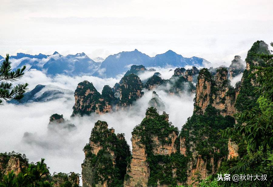 被小人同事算计用不用给领导告状,被领导盯着一直被算计了怎么办