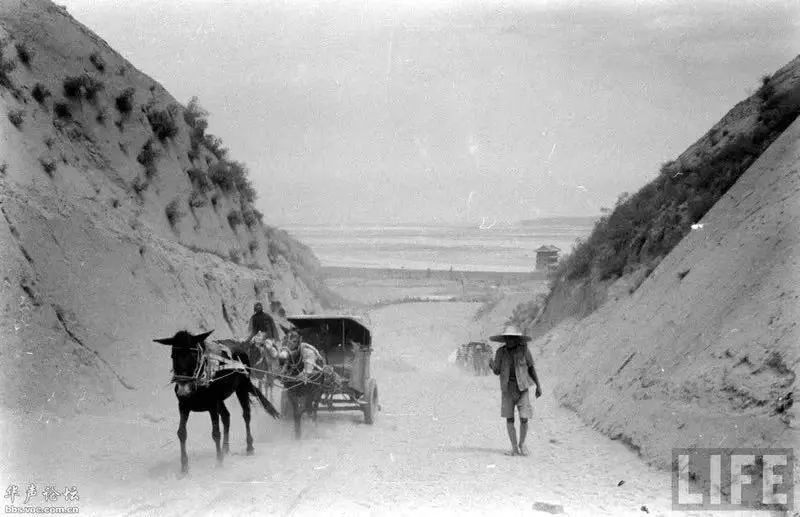 1942年霍乱瘟疫,霍乱瘟疫有多严重