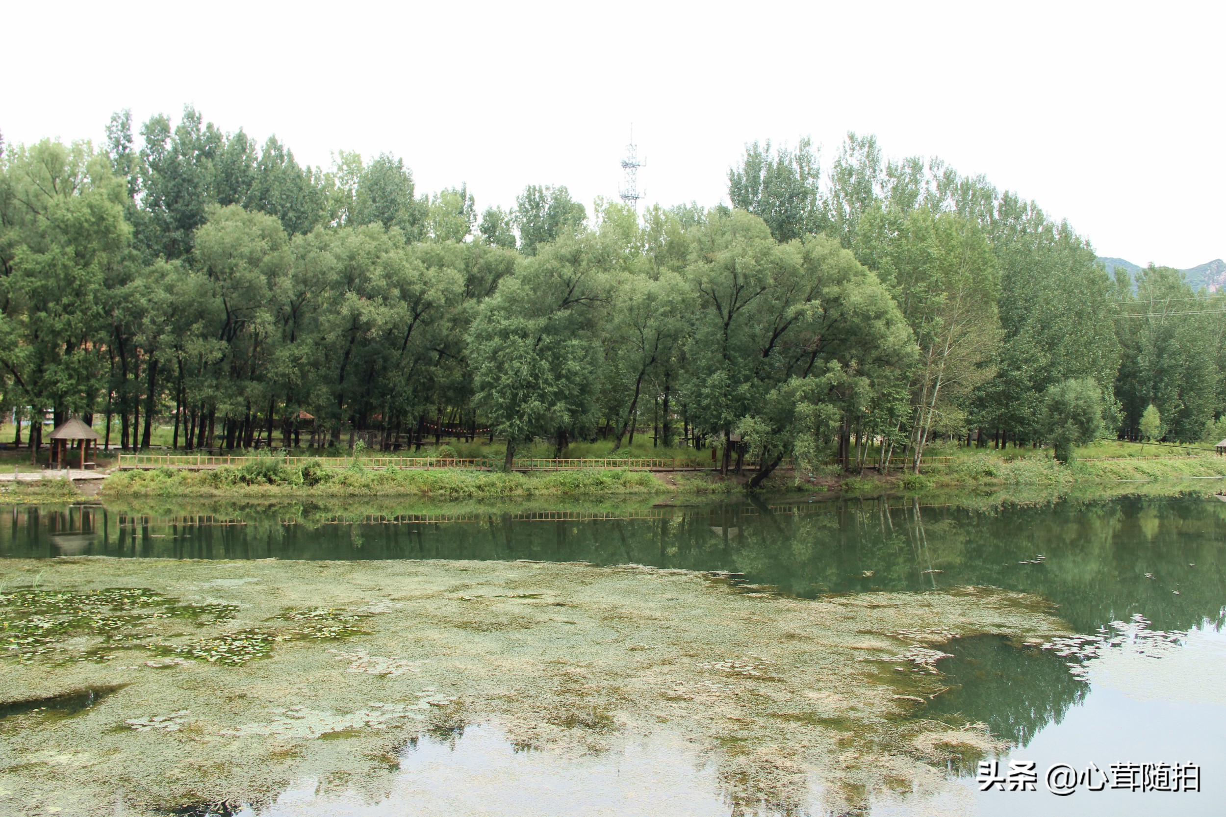 自驾白河湾,白河湾自然风景区自驾