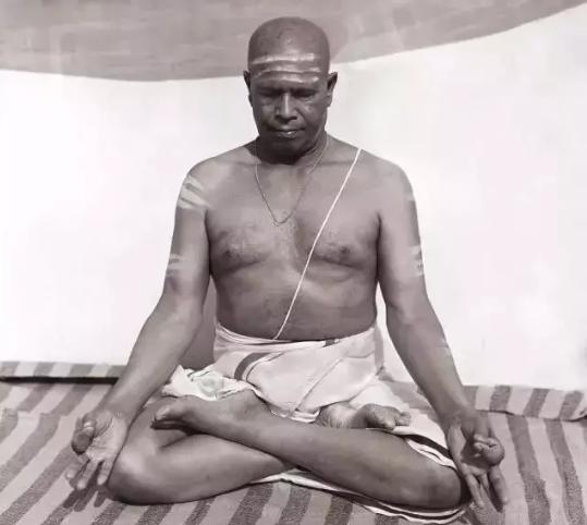 瑜伽树式练习,你到底适合哪种瑜伽练习