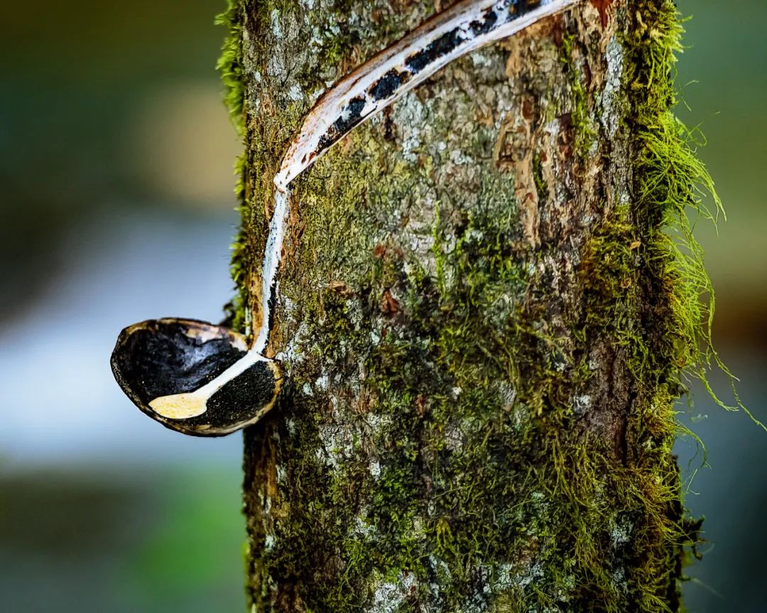 天台山佛雕,浙江天台佛像