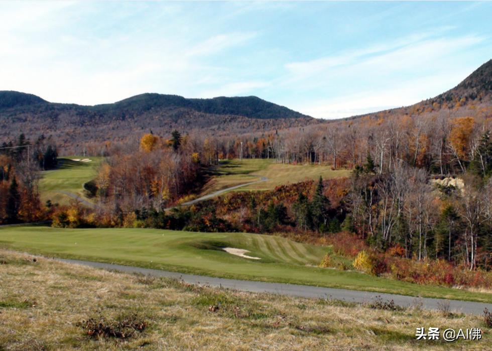 美国圆石滩高尔夫球场,美国高尔夫球场数量