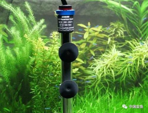 怎样判断家里水的好坏,家中盛水用什么好