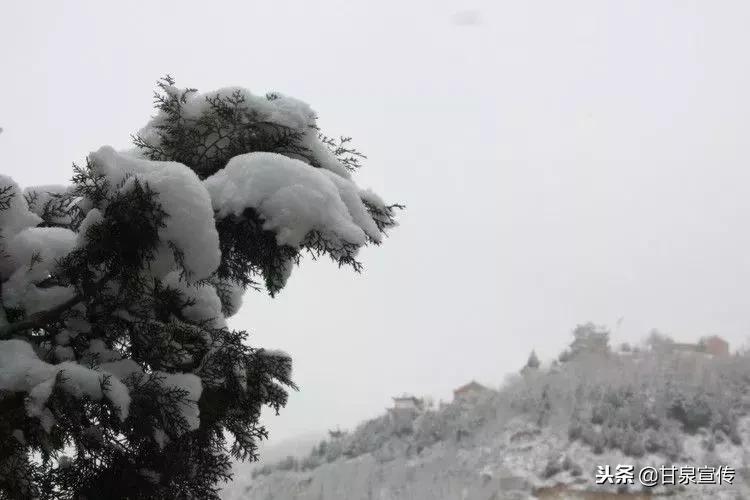 延安2019年第一次下雪是什么时候,延安初雪的时候