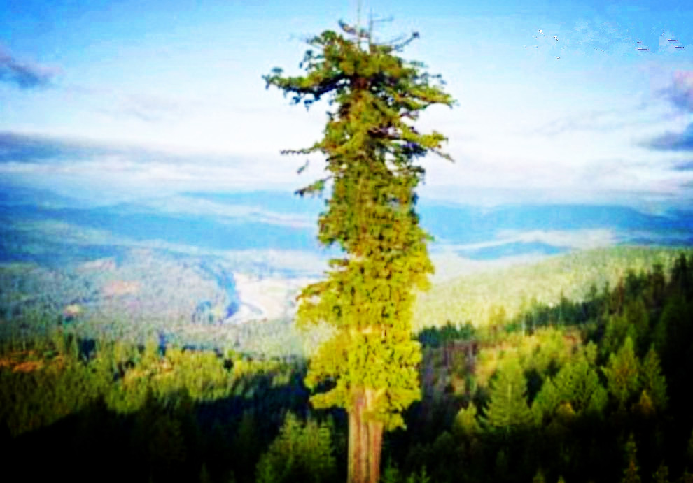 看世界图片素材库,看世界图片背景